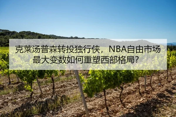 克莱汤普森转投独行侠，NBA自由市场最大变数如何重塑西部格局？